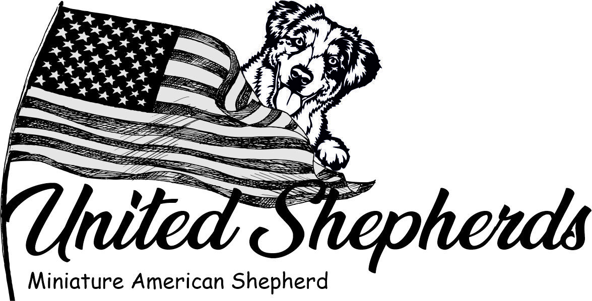 united-shepherds.com